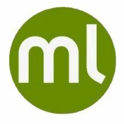 hlbmerge flutter icon