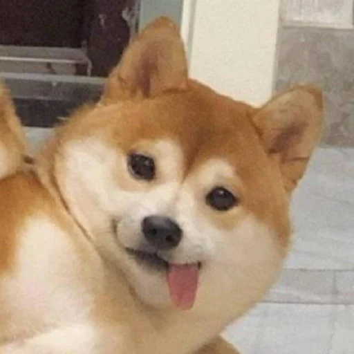 wecho icon